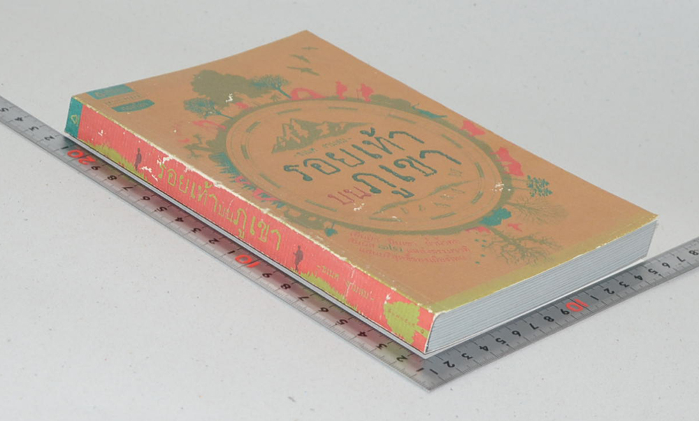 รอยเท้าบนภูเขา