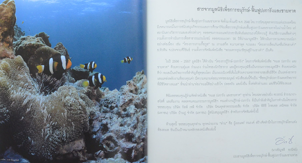 ทะเล ปะการัง และชายหาด