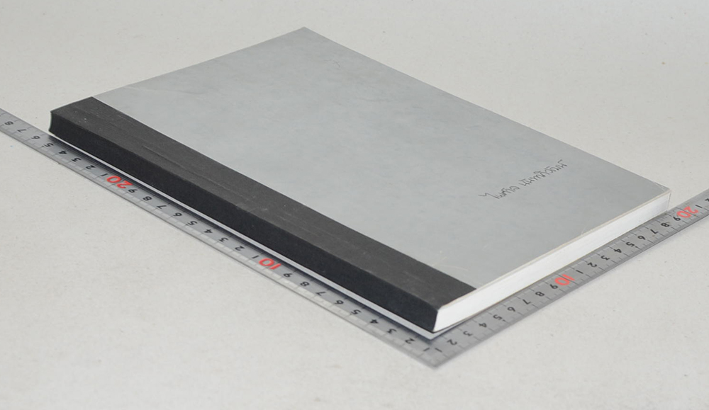 นายไพศาล นันทาภิวัฒน์ (ฮวนนั้ง) (ขายตามสภาพ)