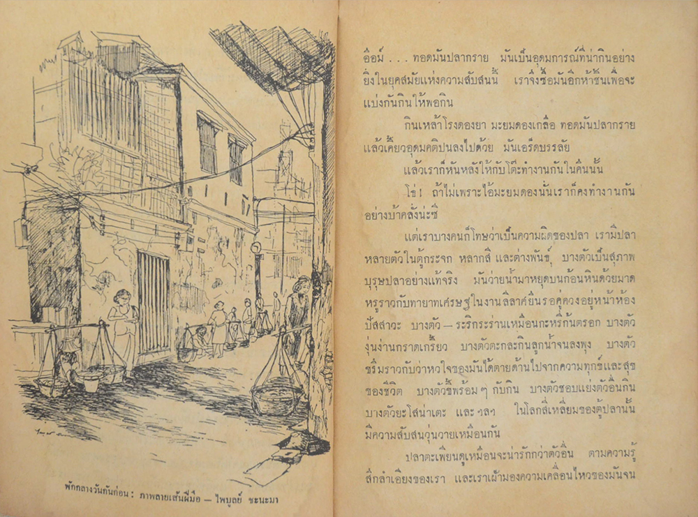 เฟื่องนคร พิเศษ 3 สิงหาคม 2513