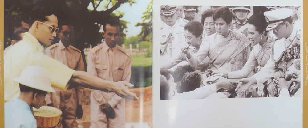 ในหลวงในดวงใจ