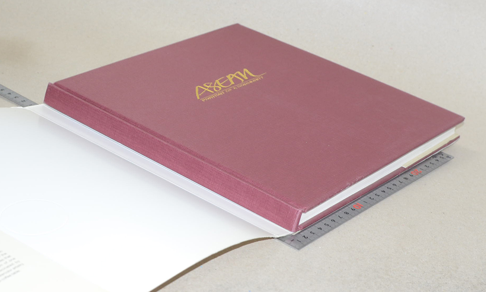 ASEAN PORTRAIT OF A COMMUNITY