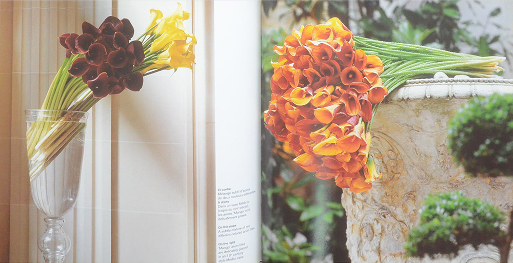 LES FLEURS DE JEFF LEATHAM