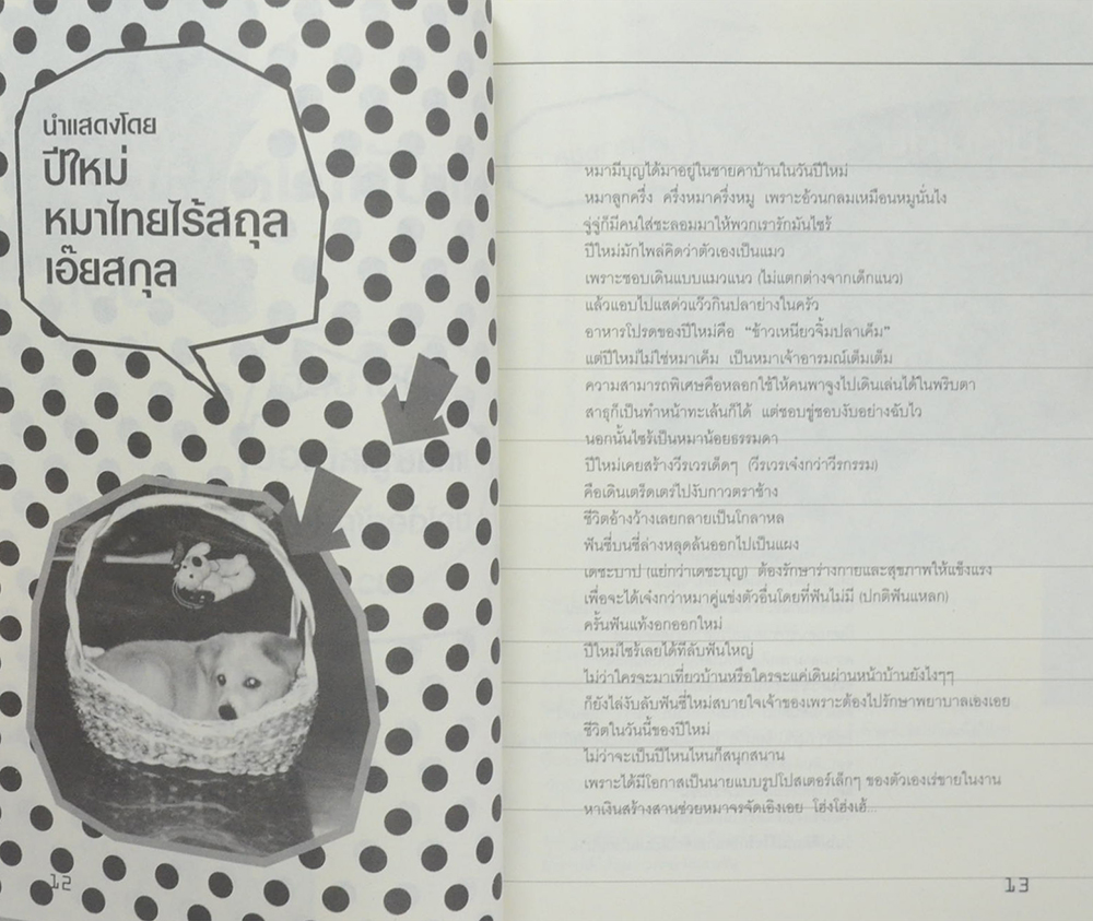 ขำซ่าส์หมากับแมว