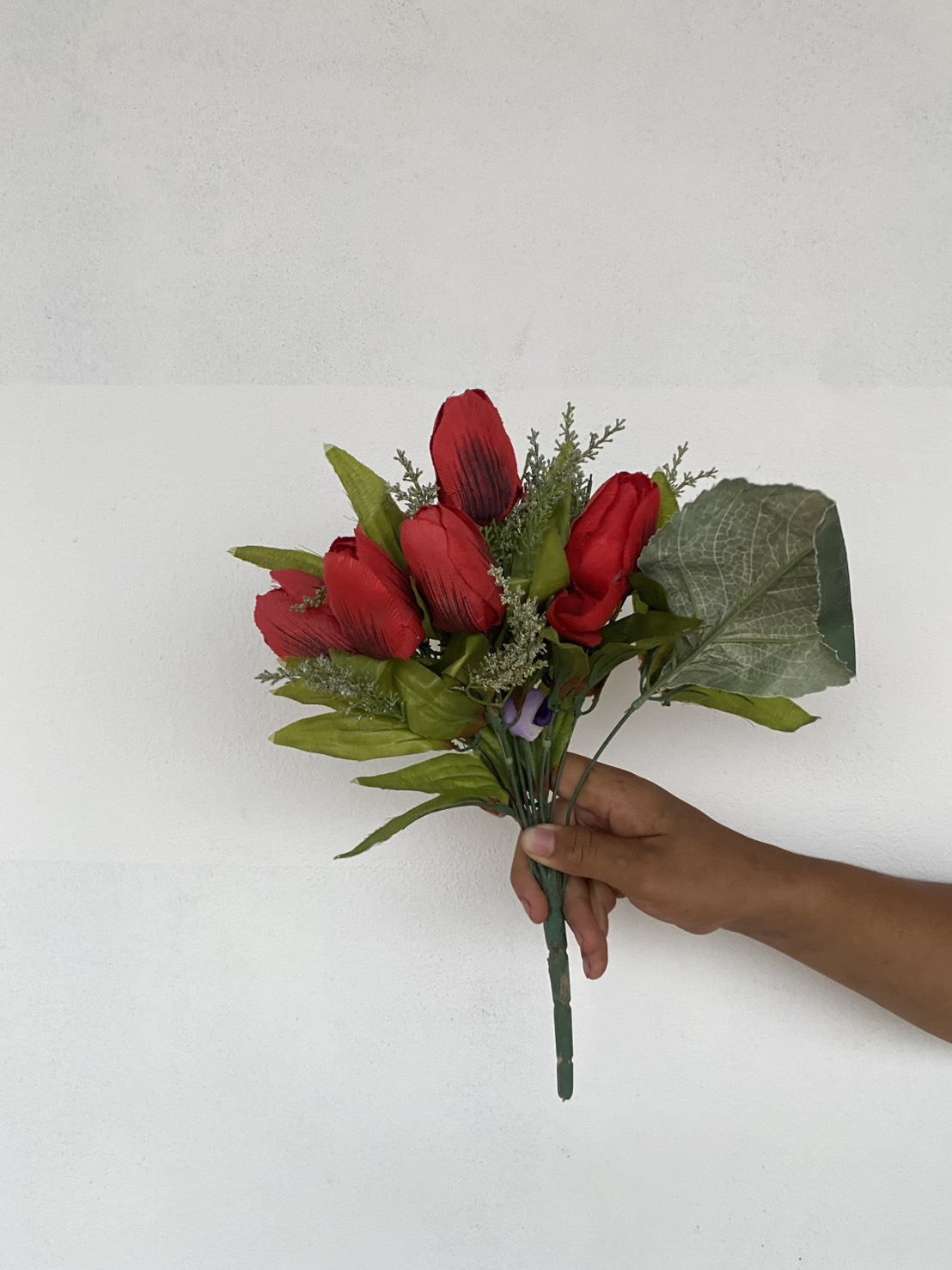 ดอกทิวลิปเรียว Red Tulips