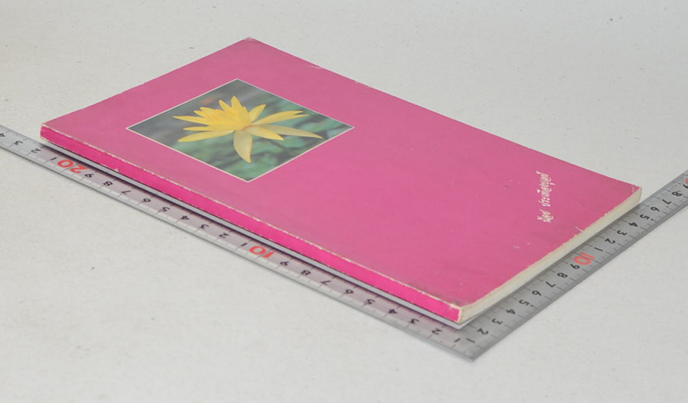 น้อย ประเทืองบูลย์ (พบหมอศิริราช เล่ม 6)