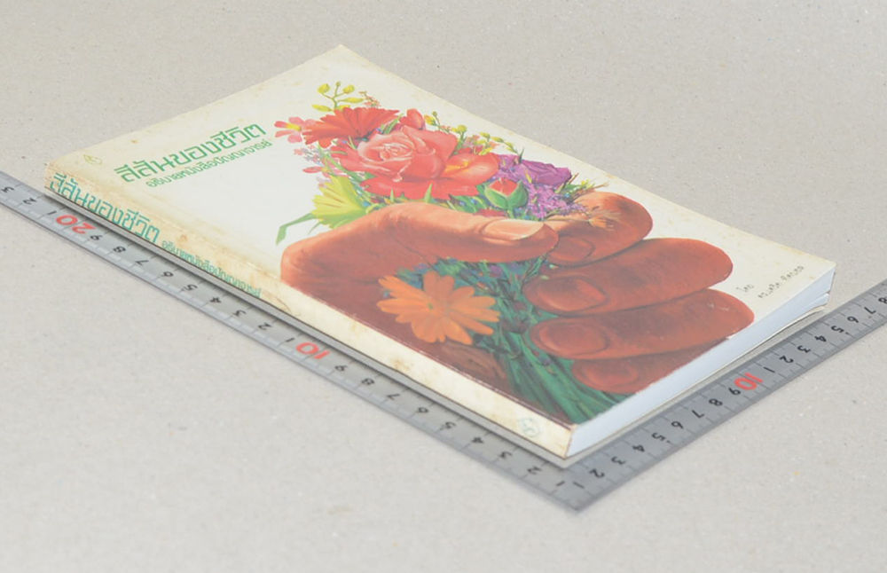 สีสันของชีวิต