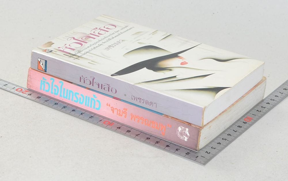 รวมเรื่อง (2 เล่ม)