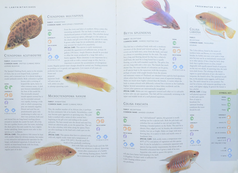 the Encyclopedia of Aquarium Fish