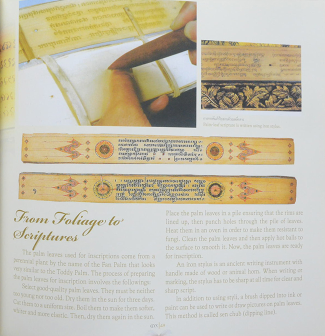 วิวัฒน์การอ่านไทย (ภาษาไทย-อังกฤษ)