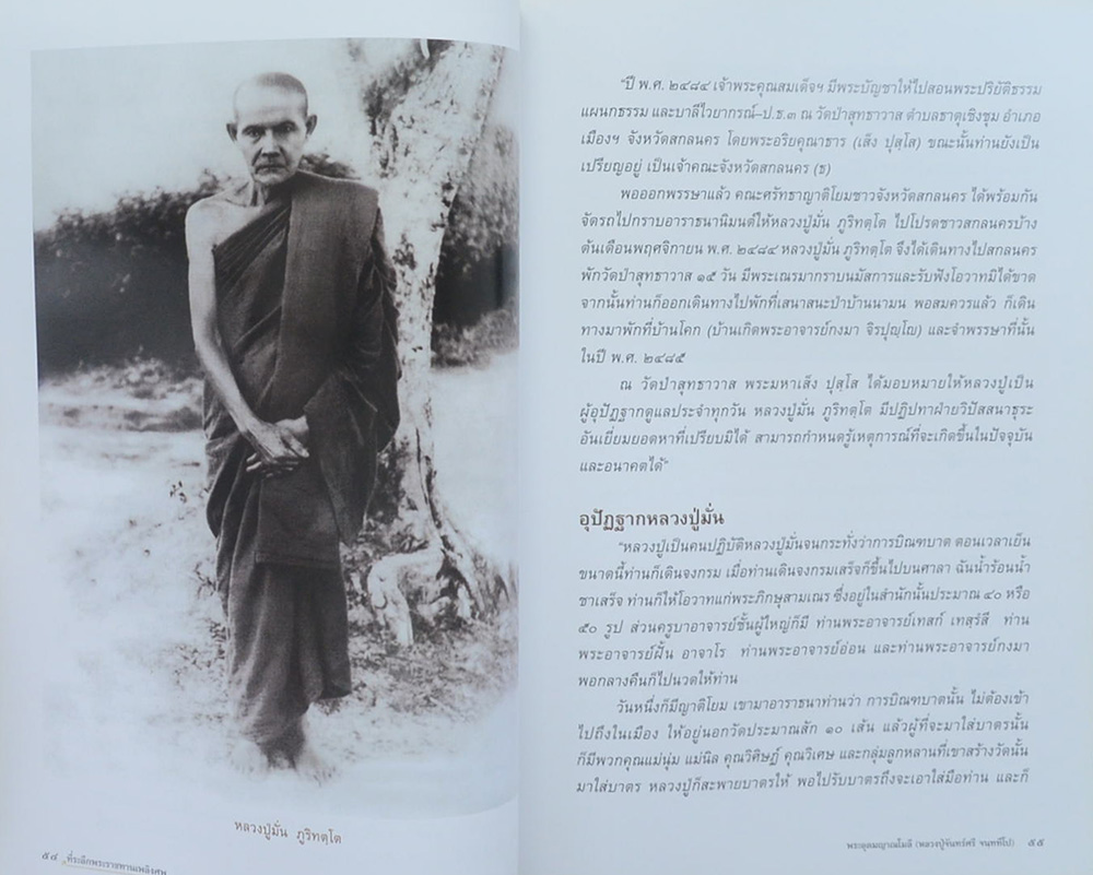 พระอุดมญาณโมลี (หลวงปู่จันทร์ศรี จนฺททีโป)