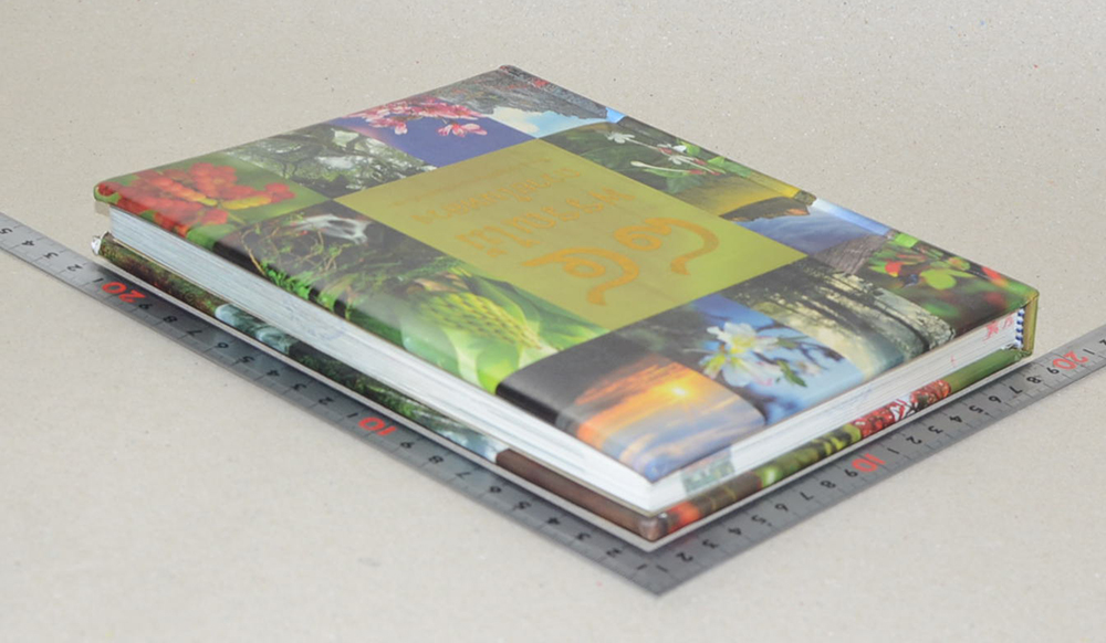 84 พรรณไม้ถวายในหลวง (มีเมล็ดพืช 3 ชนิดให้ทดลองปลูก / ขายตามสภาพ)