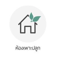 ห้องเพาะปลูก grow shop thailand