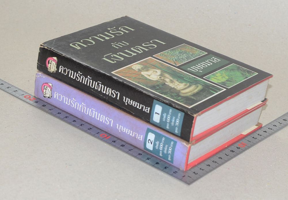 ความรักกับเงินตรา (2 เล่มจบ)