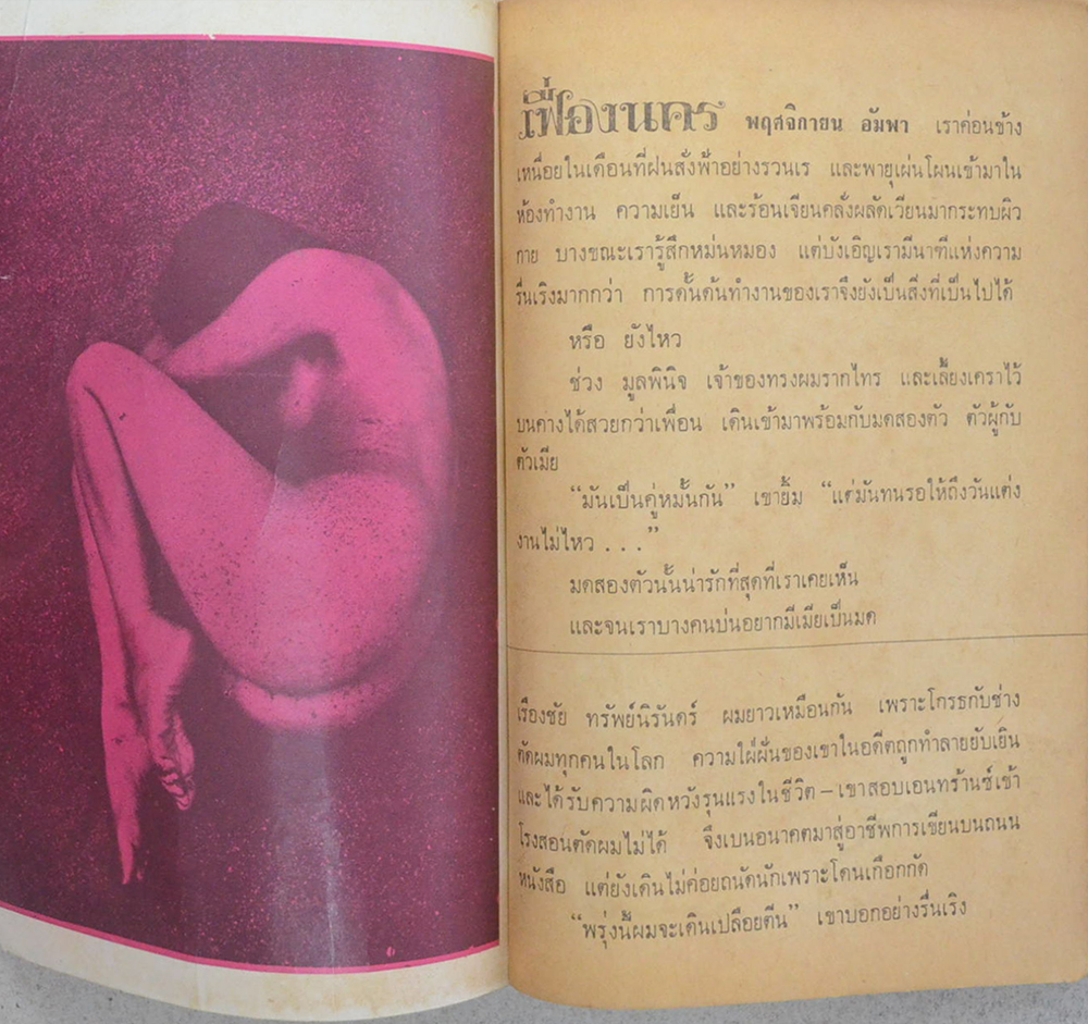 พฤศจิกายน อัมพา