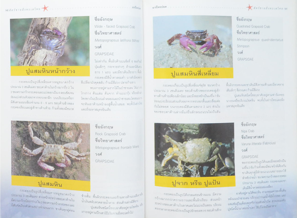 สัตว์ชายฝั่งทะเลไทย