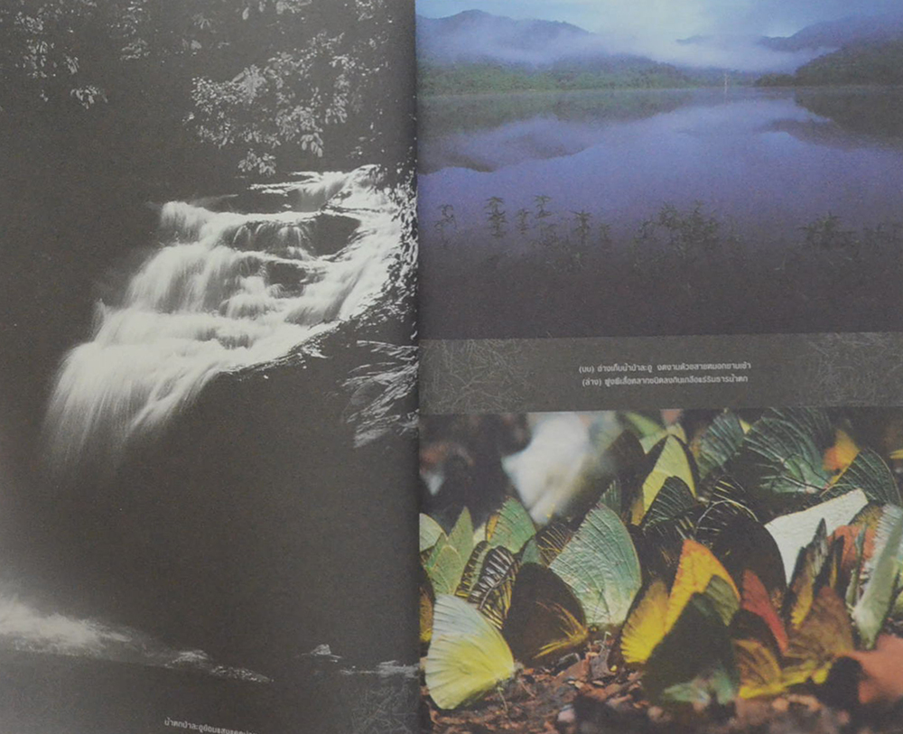 รอยเท้าบนภูเขา