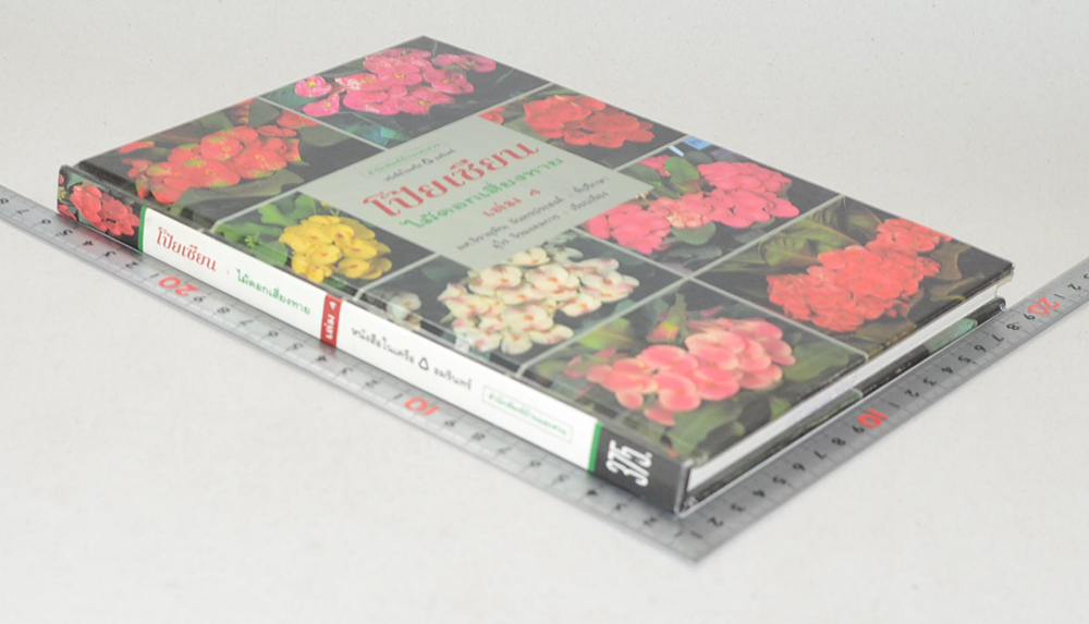 โป๊ยเซียนไม้ดอกเสี่ยงทาย (เล่ม 4/ ขายตามสภาพ)