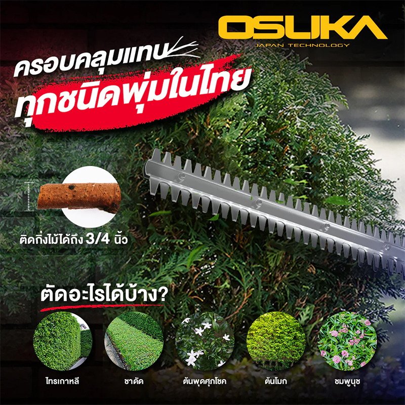 OSUKA OCHT436-M1 เครื่องตัดแต่งพุ่มไม้ไร้สาย 15" 20V พร้อมแบตx1