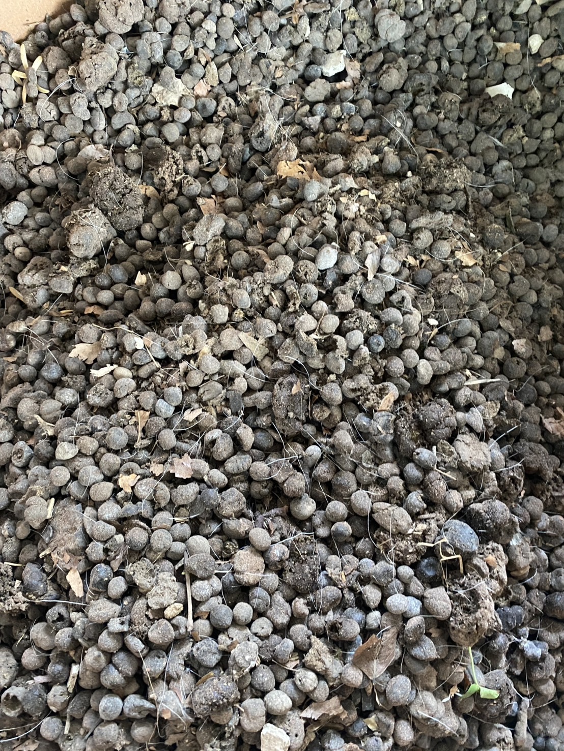 ขี้แพะแห้ง ปุ๋ยอินทรีย์แท้ 100% (Goat Dung)