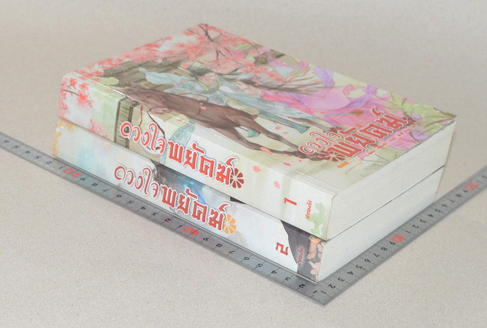 ดวงใจพยัคฆ์ (2 เล่มจบ)