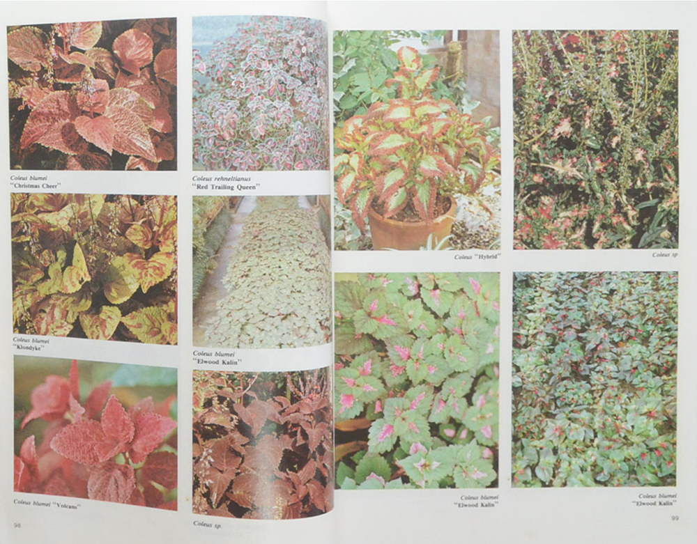 สารานุกรมไม้ประดับในประเทศไทย