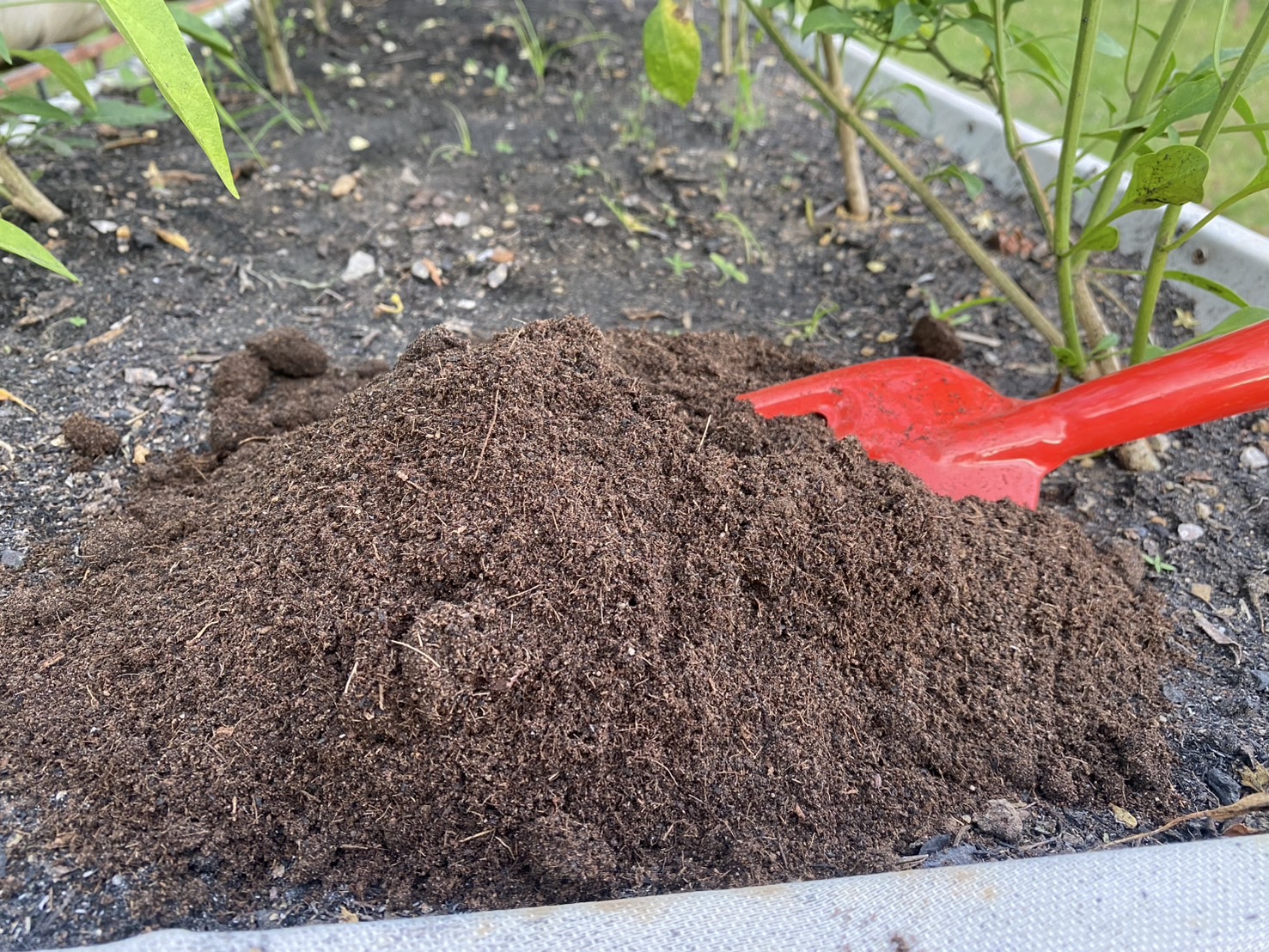 ดินปลูกแห้งไว ไร้เน่า