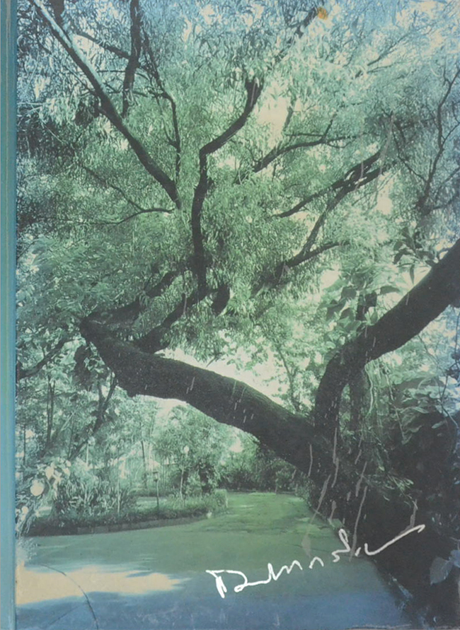 นายแพทย์สาโรจน์ อรรถวิภัชน์ (เรื่องที่เกี่ยวกับการแพทย์ยุคใหม่ในพุทธทัศน์)