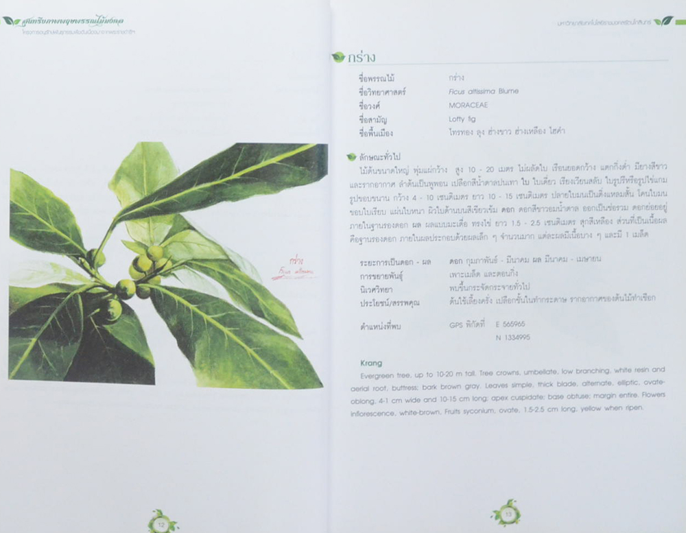 สุนทรียภาพพฤกษพรรณไม้มงคล