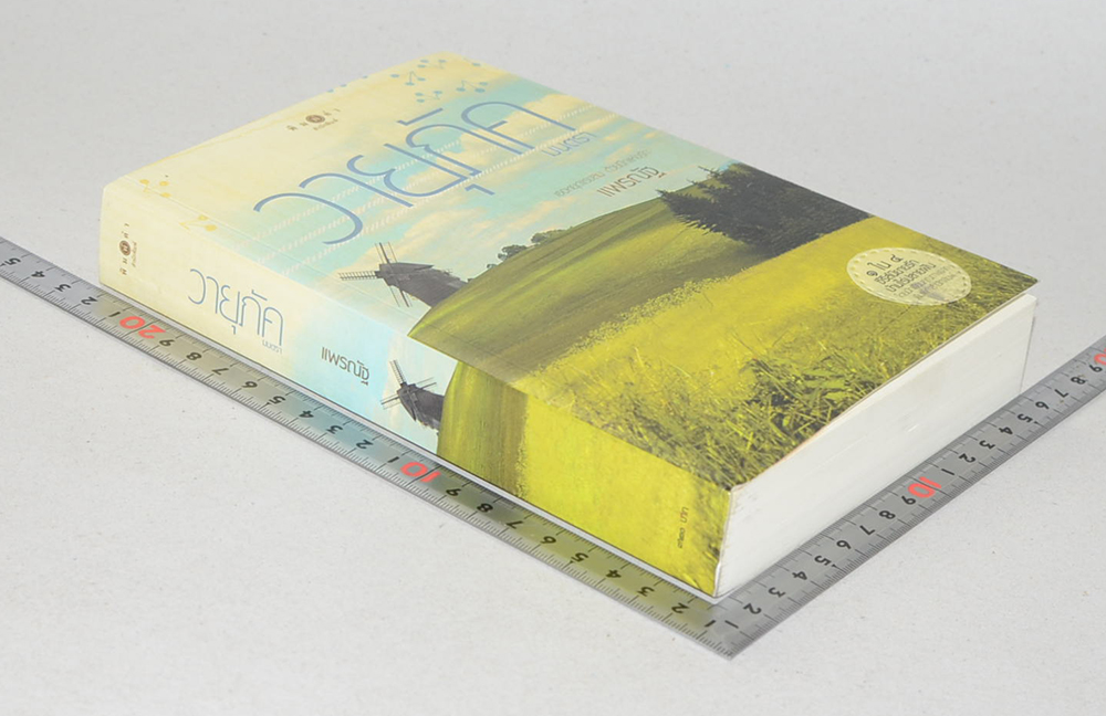 วายุภัคมนตรา