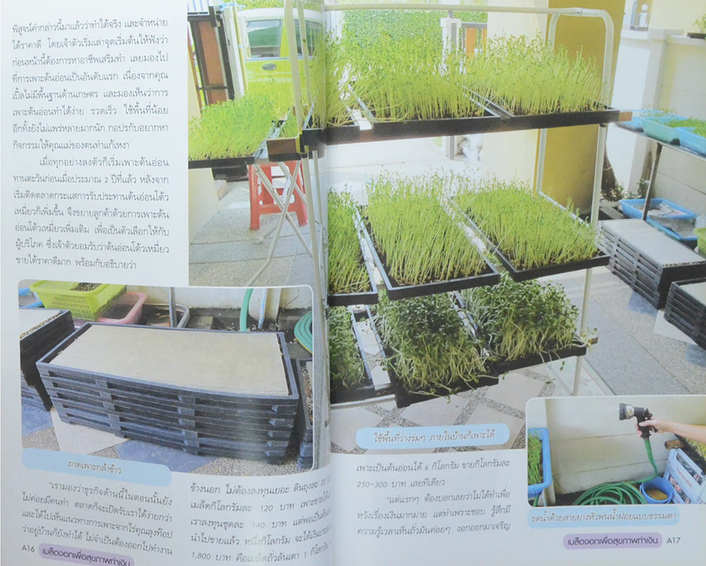 เมล็ดงอก...เพื่อสุขภาพทำเงิน