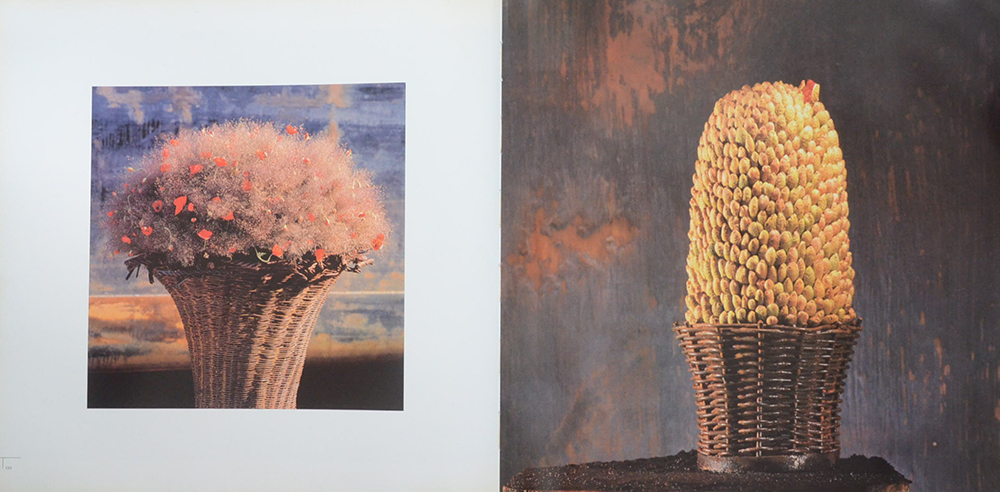 DANIEL OST LEAFING THROUGH FLOWERS