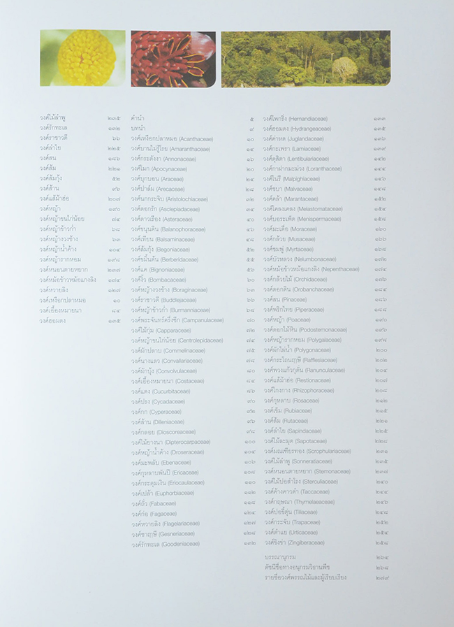 84 วงศ์พรรณไม้ เทิดไท้องค์ราชัน