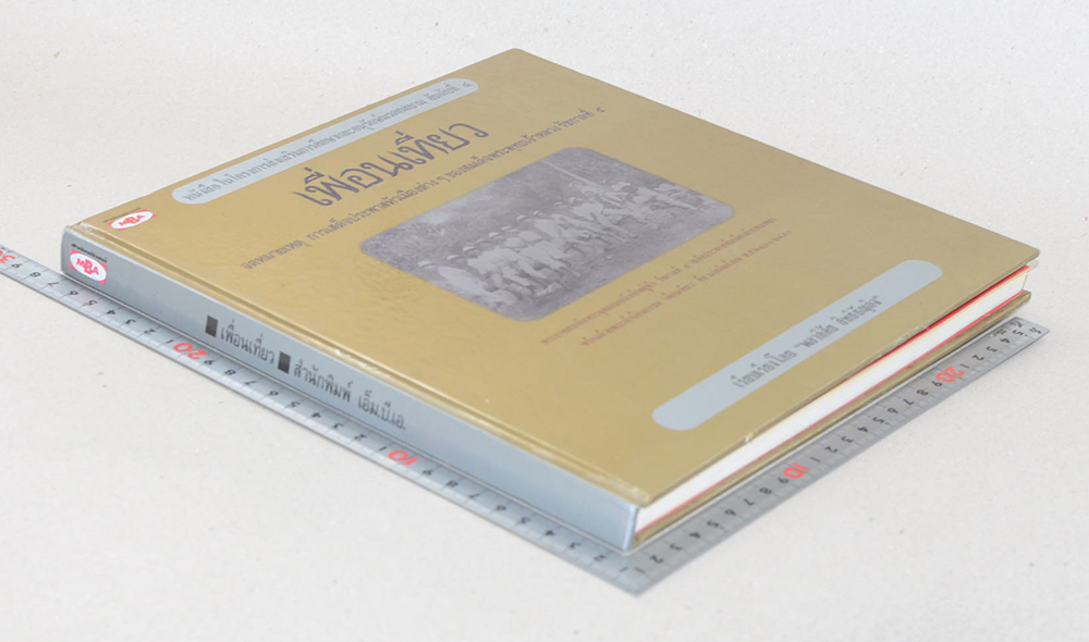 เพื่อนเที่ยว (ขายตามสภาพ)