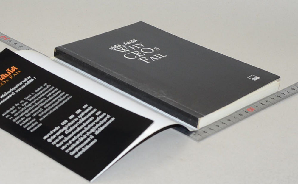 เก่งได้...ก็ล้มได้ WHY CEOs FAIL