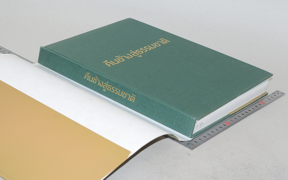 คืนช้างสู่ธรรมชาติ