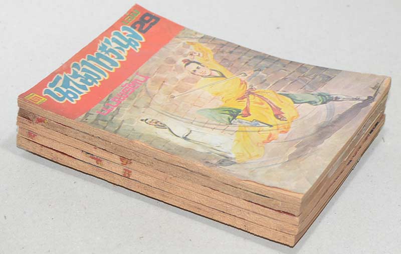 นักฆ่าทระนง (5 เล่ม / ไม่จบ)