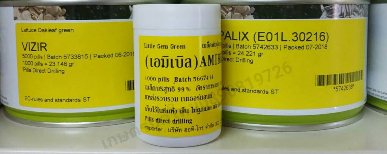 เอมิเบิล แบบเคลือบ 1000เมล็ด(Enza)