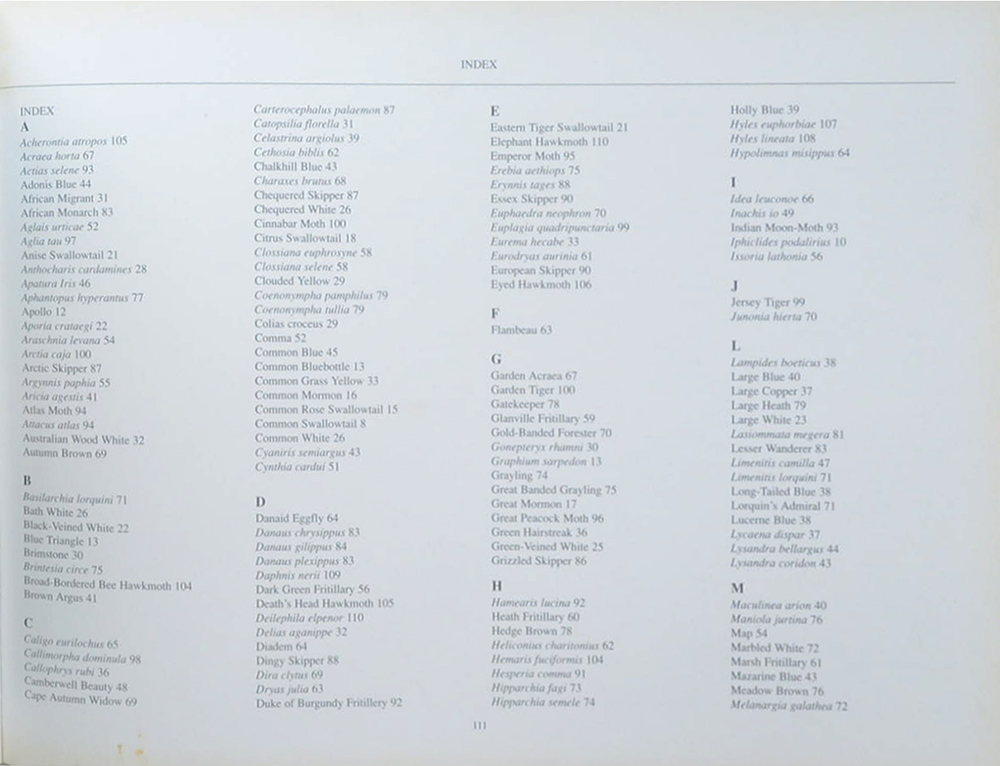 The Fascinating World of Butterflies & Moths