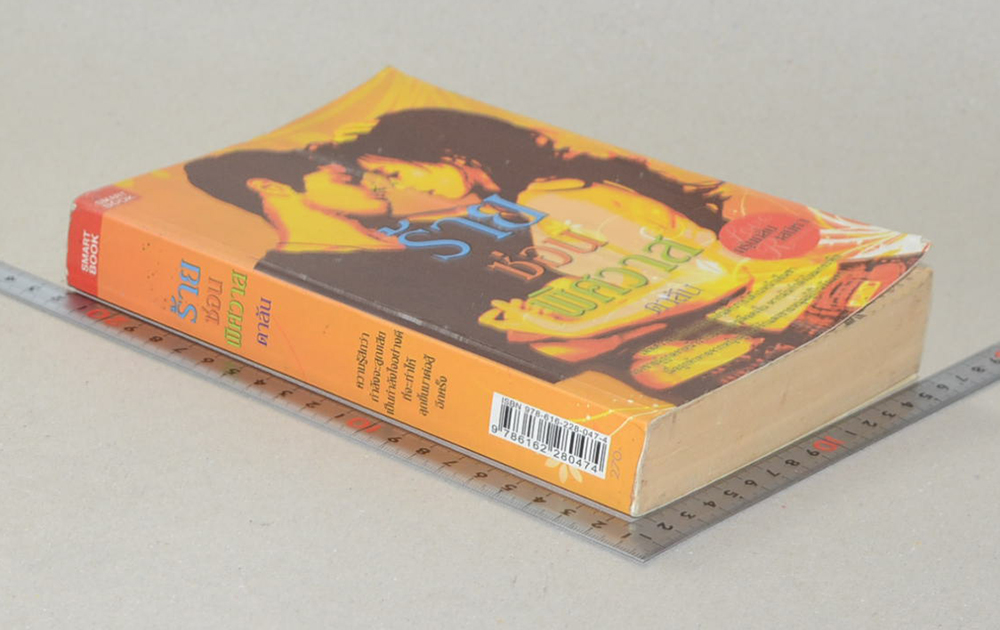 ร้ายซ่อนพิศวาส (เล่มเดียวจบ)