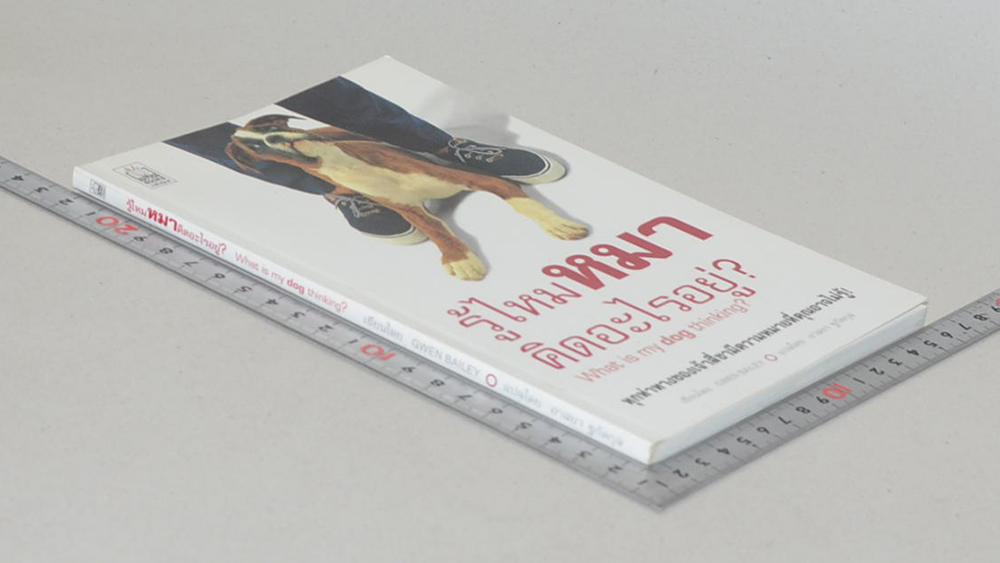 รู้ไหมหมาคิดอะไรอยู่?