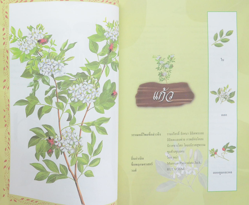 ดอกไม้ในวรรณคดีไทย