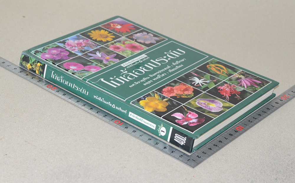 ไม้เลื้อยประดับ