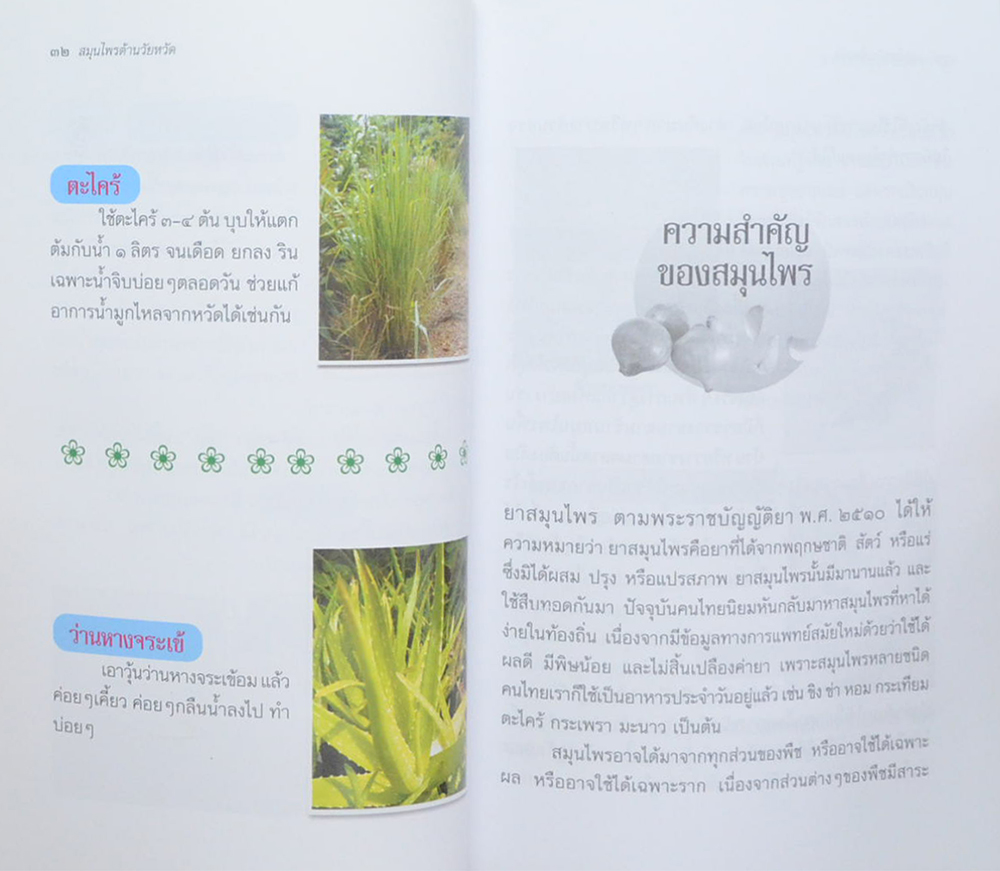 สมุนไพรต้านภัยหวัด