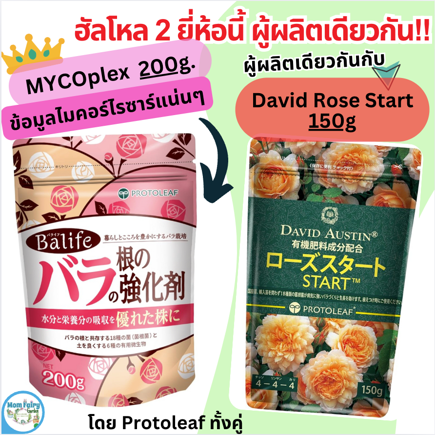 Protoleaf ปุ๋ยไมคอร์ไรซาร์ Mycorrhiza 200g. ผสม compost + เชื้อรา 18 ชนิด ช่วยปรับปรุงคุณภาพดิน ดูดซับอาหาร สำหรับกุหลาบ