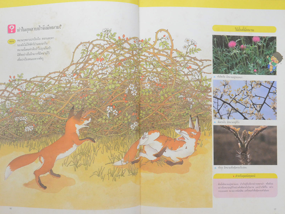 บุปผชาติและพฤกษา