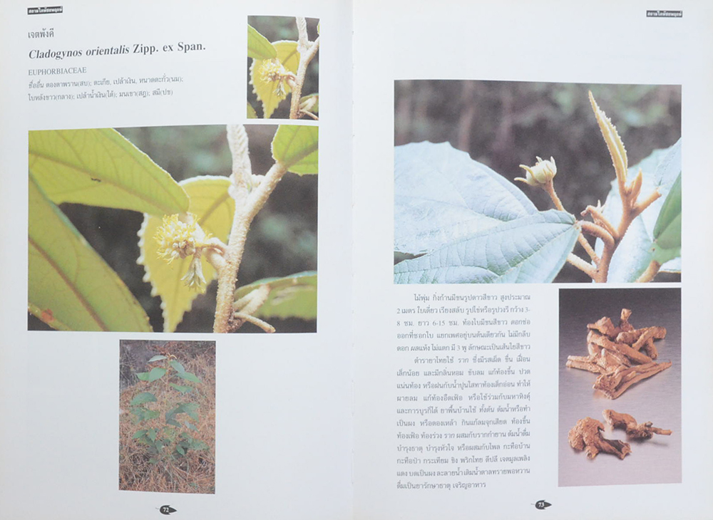 สยามไภษัชยพฤกษ์ ภูมิปัญญาของชาติ