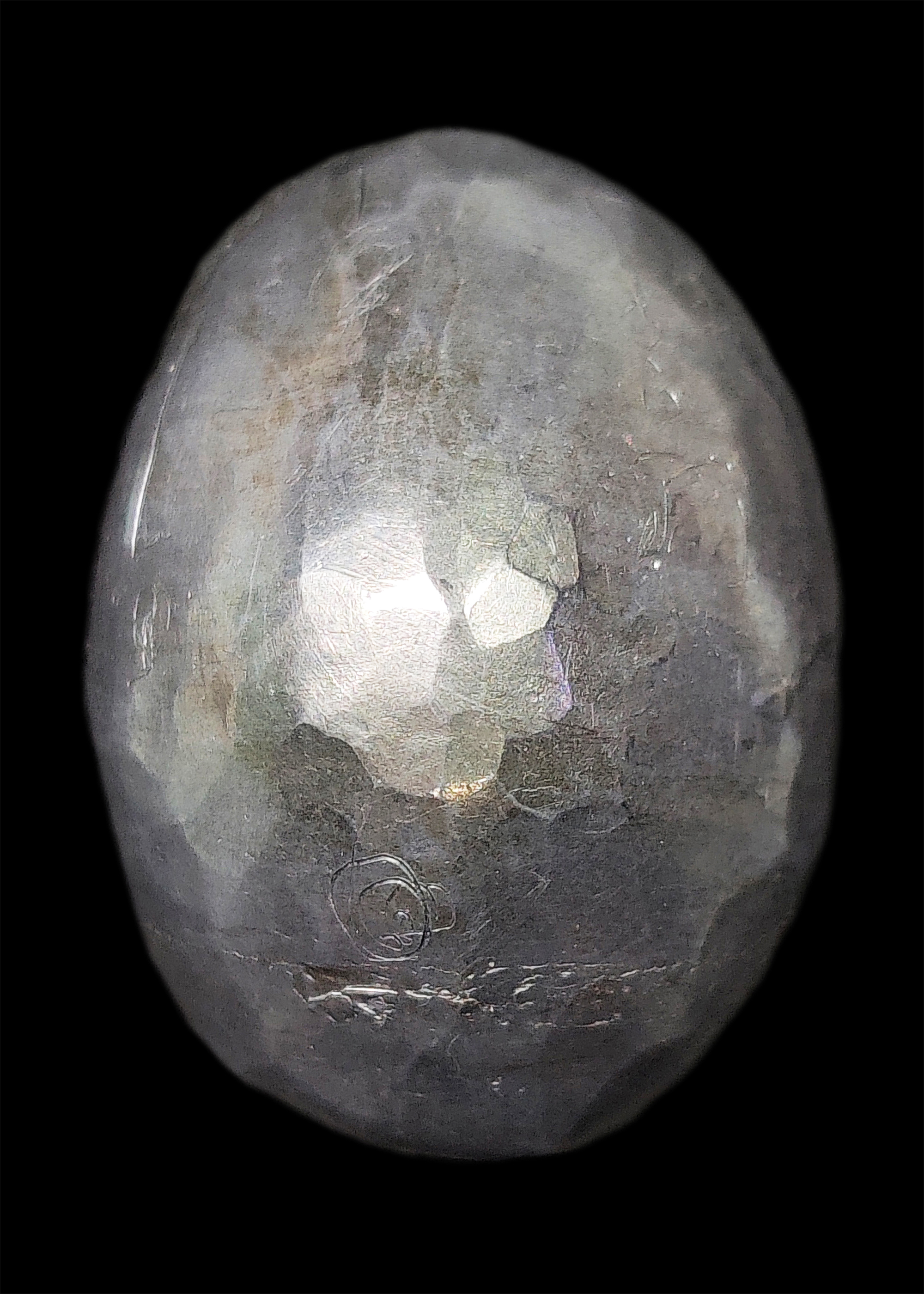 เบี้ยแก้เปลือย หลวงปู่เจือ ปิยสีโล วัดกลางบางแก้ว มีจารรอบเบี้ย ลายมือหลวงปู่เจือโดยตรง สภาพสวยแชมป์