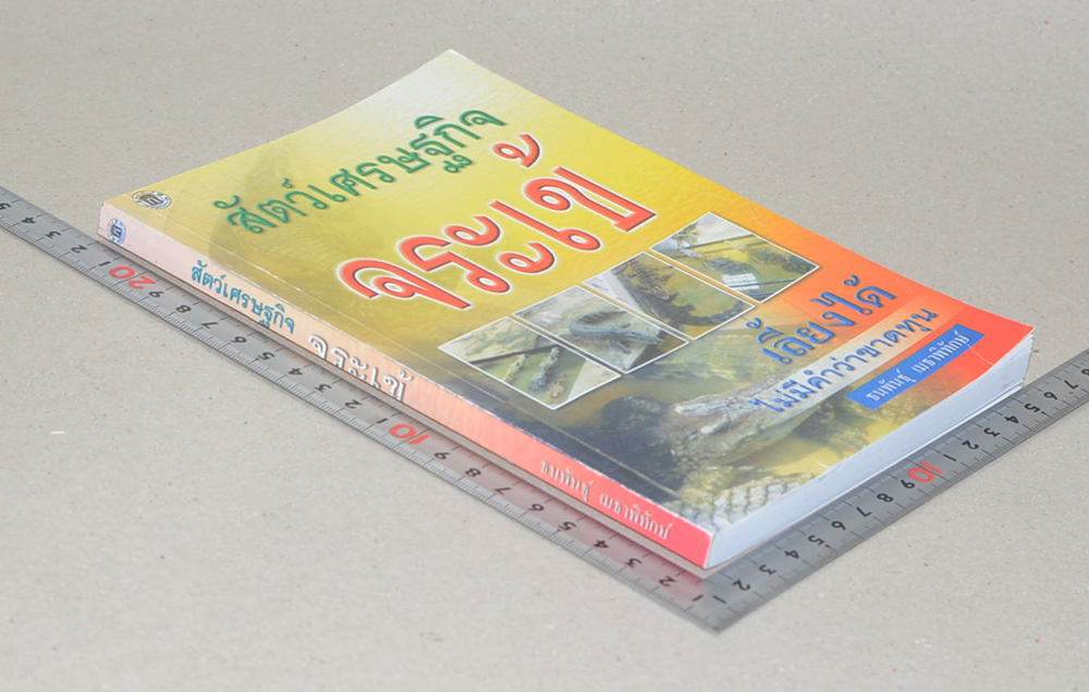 สัตว์เศรษฐกิจ จระเข้ (ขายตามสภาพ)