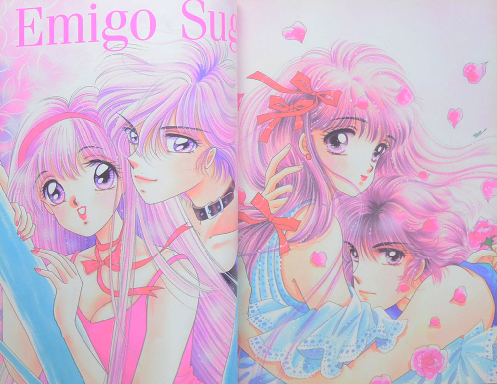 THE COLLECTION OF ILLUSTRATIONS